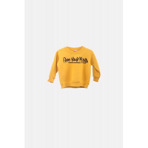 Μπλούζα φούτερ κίτρινη για αγόρι Joyce 2362502
