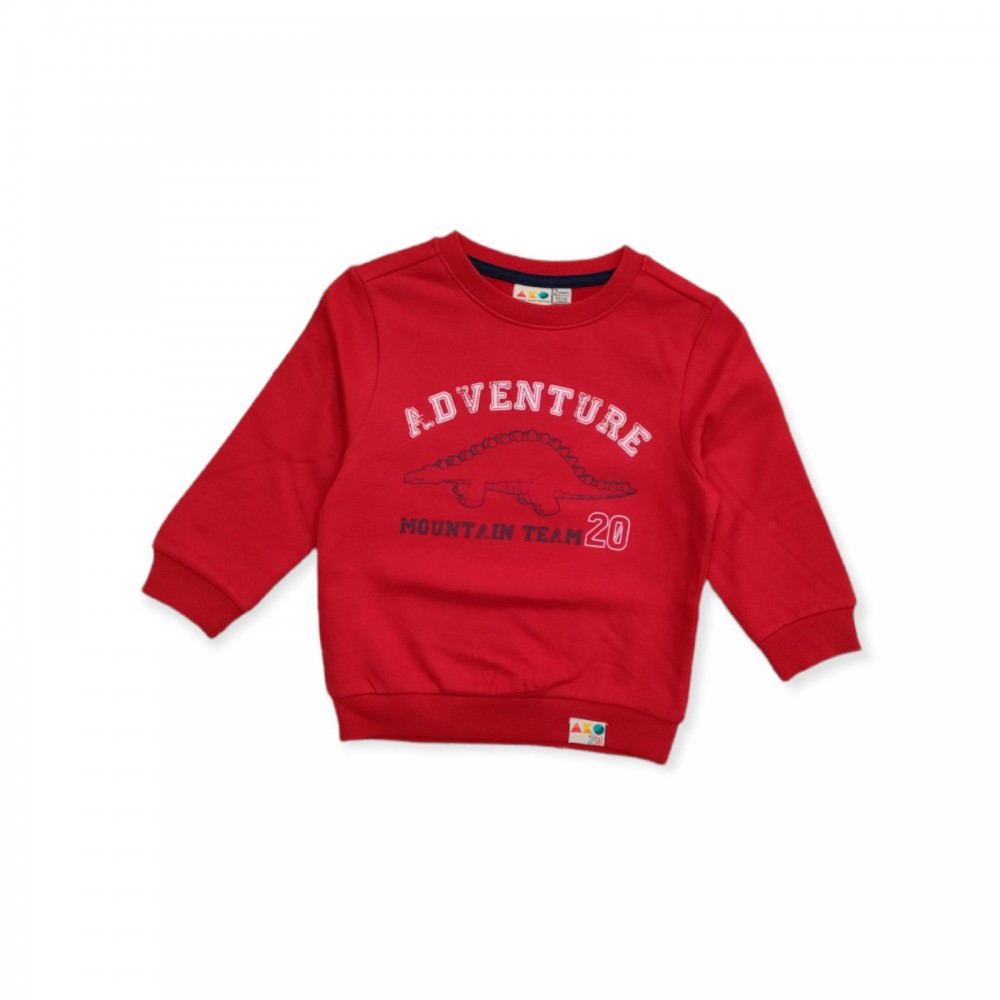Μπλούζα φούτερ κόκκινη για αγόρι Ako 325102-01